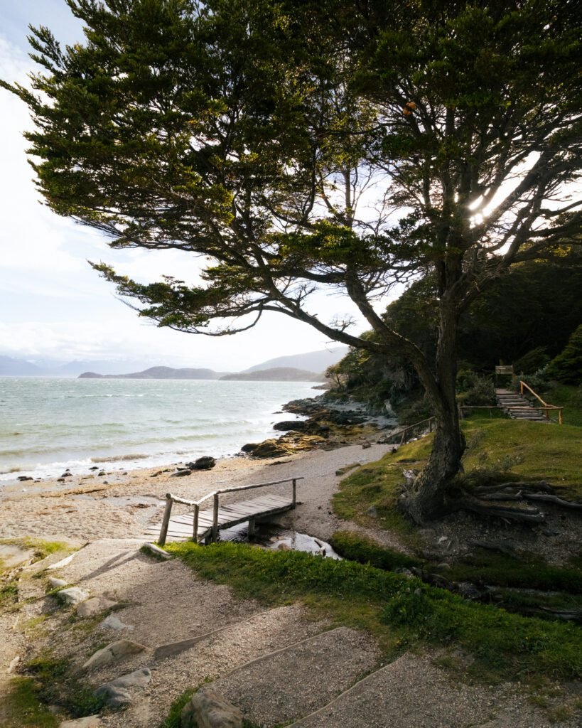 Tierra del Fuego National Park, in Ushuaia