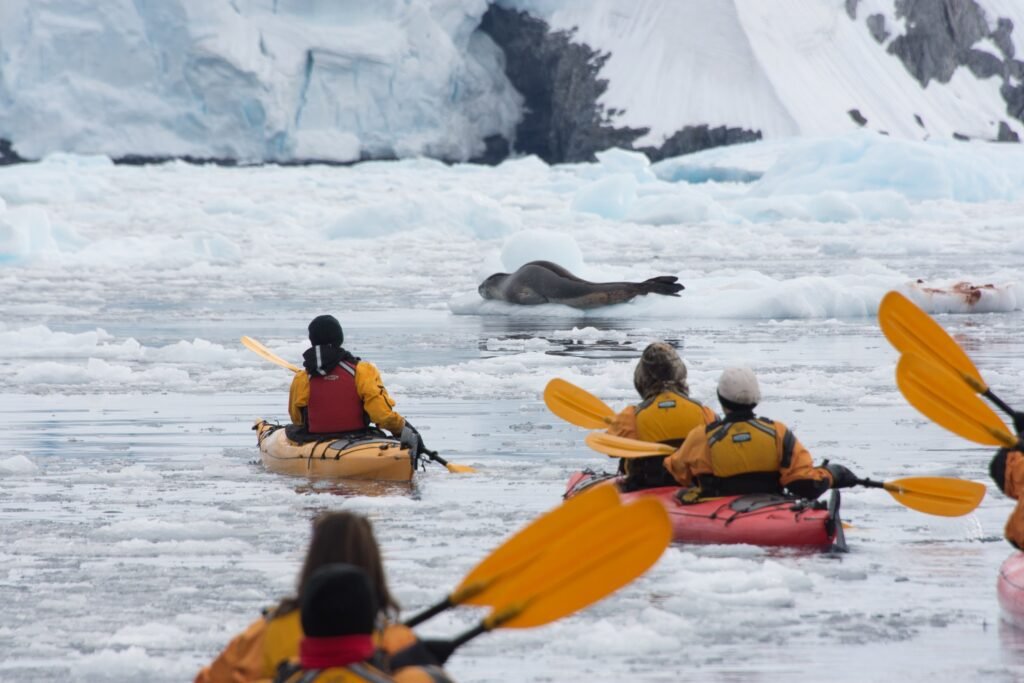 Kayakers find a Leopard seal on glacial ice in Cierva Cove, Antarctic Peninsula