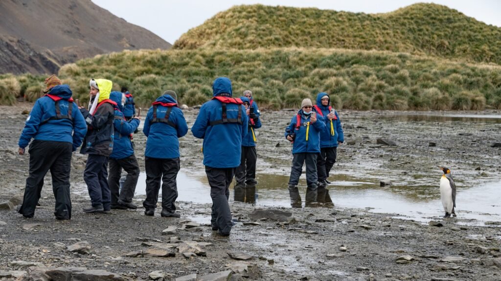 Travelers observe a King Penguin at Jason Harbour, South Georgia