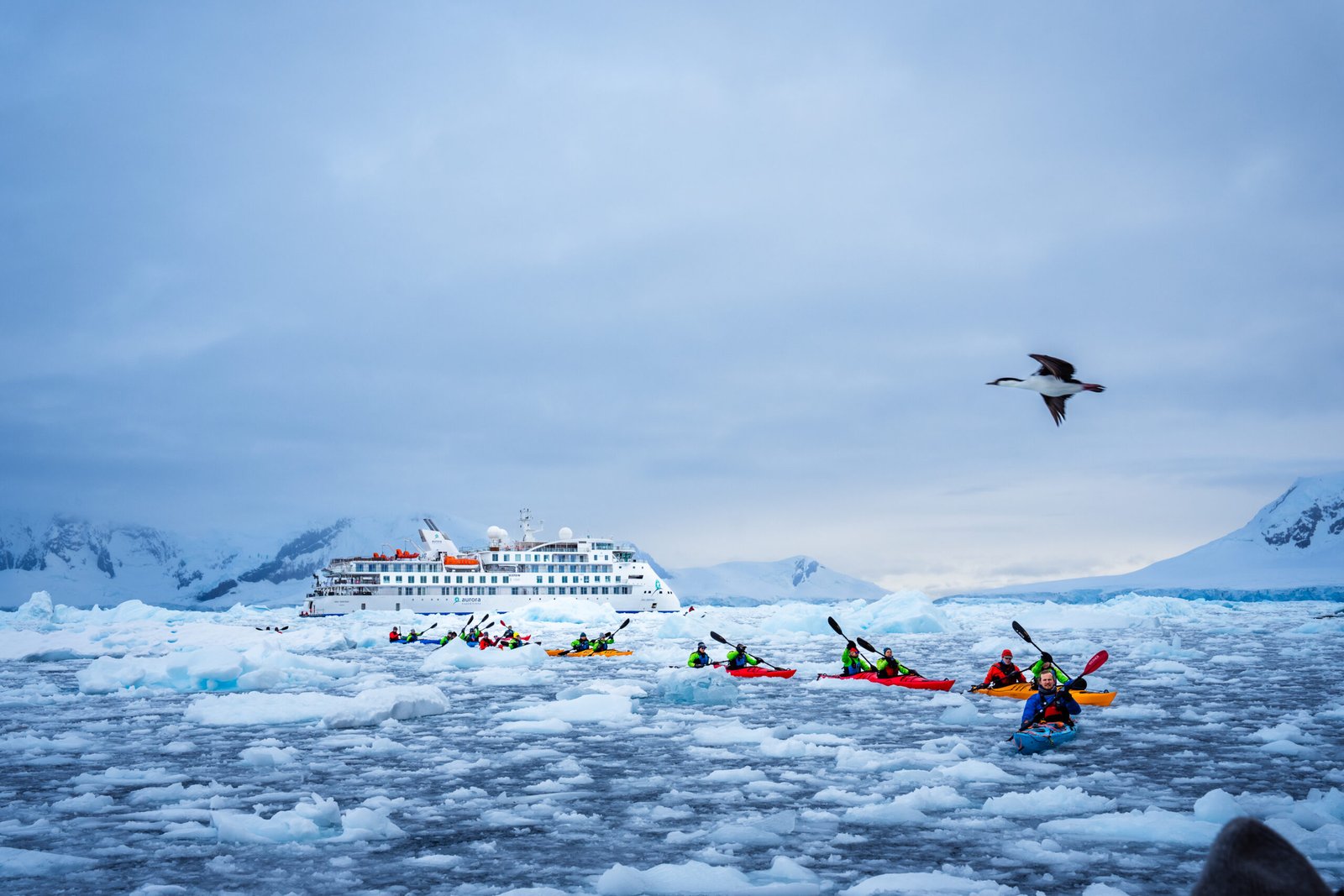 Caiaquistas remando entre gelo fragmentado ao lado do Greg Mortimer em Paradise Bay, Antártica