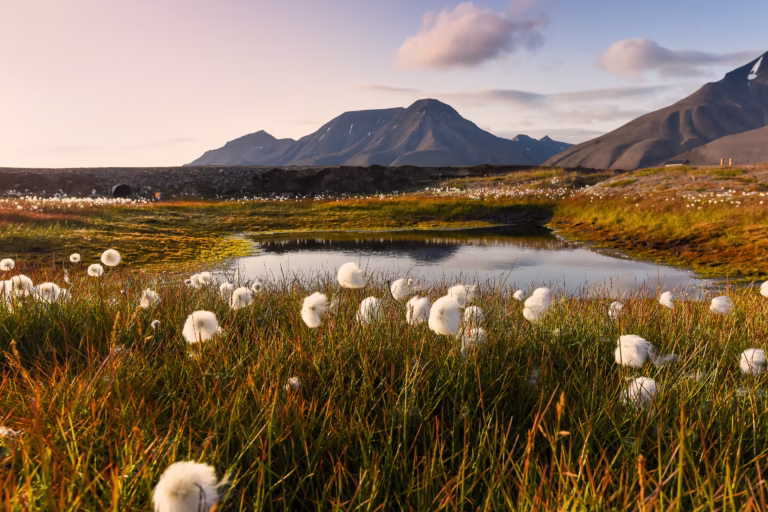 Expedition landscape, Svalbard, sailing from Reykjavik