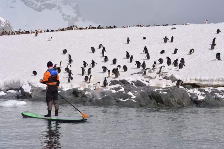 Expedition landscape, Antarctic Peninsula, sailing from  Ushuaia, Argentina