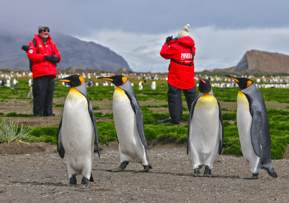 Expedition landscape, Falkland Islands, sailing from Ushuaia