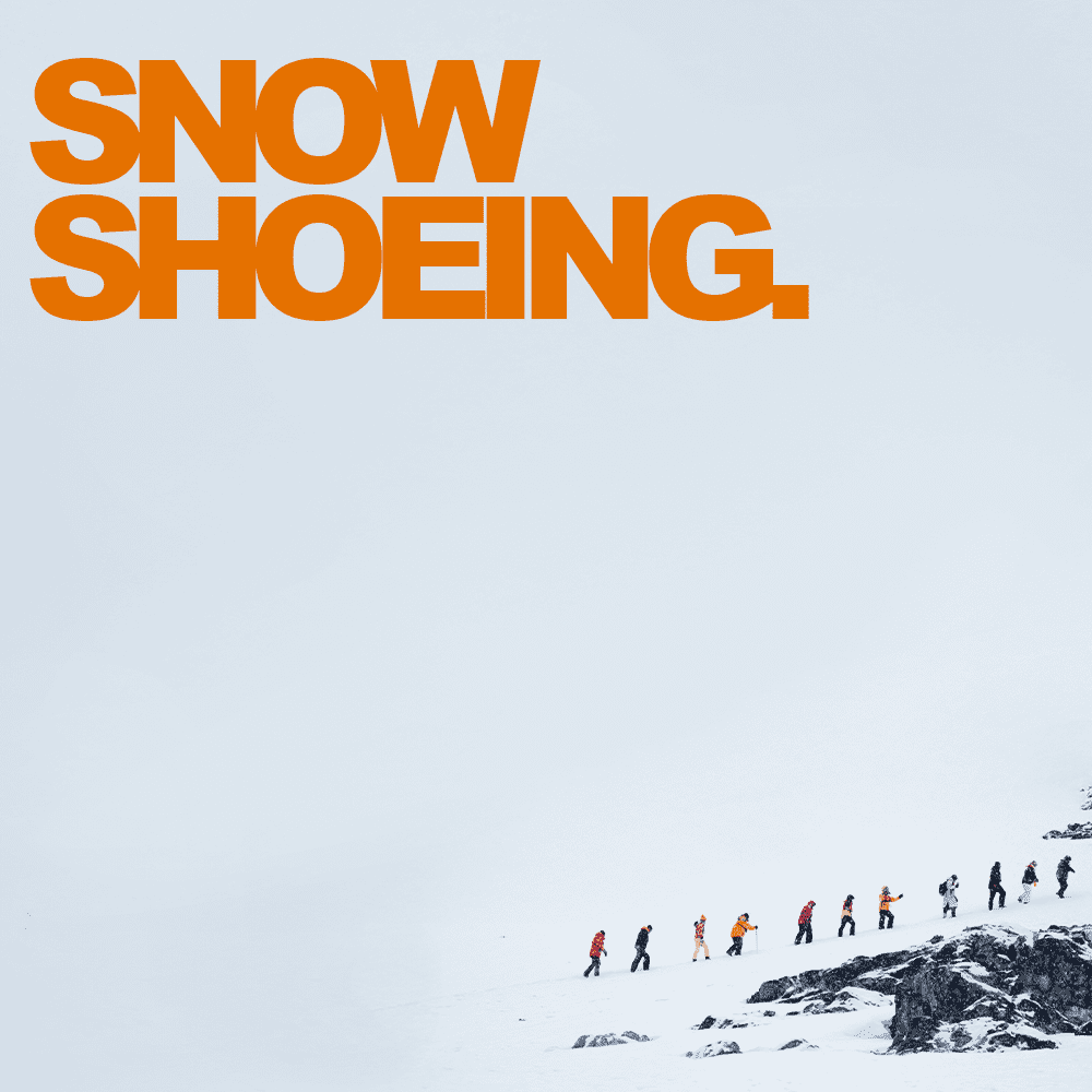 Caminhada com raquetes de neve na Antártica com a Terra Nova Expeditions